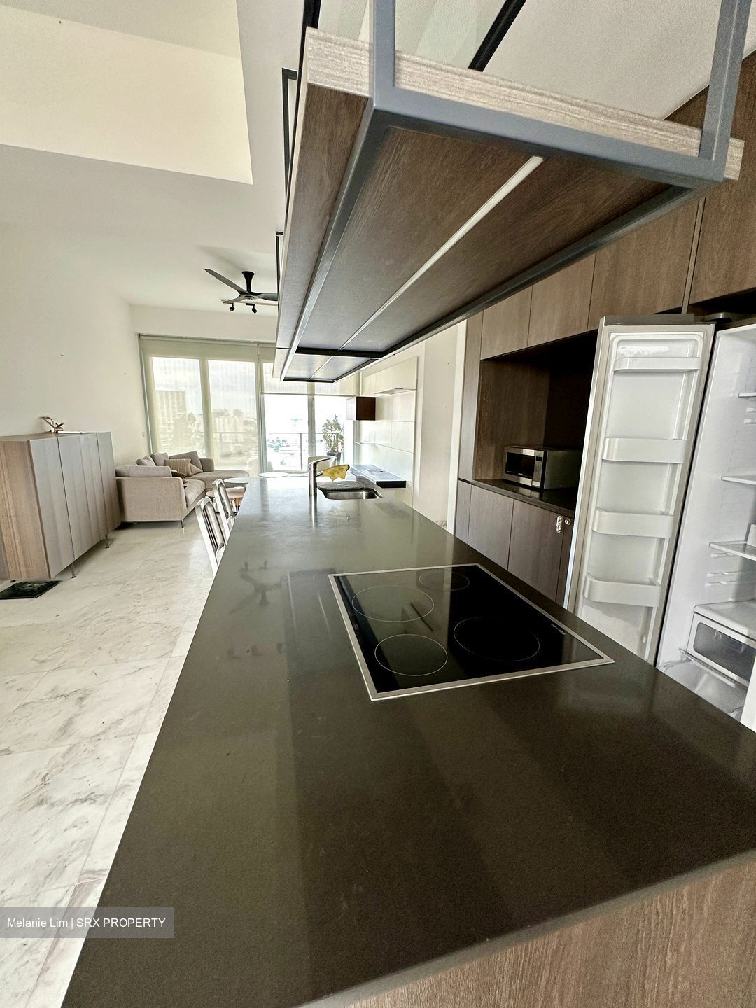 Newton One (D11), Condominium #634215451
